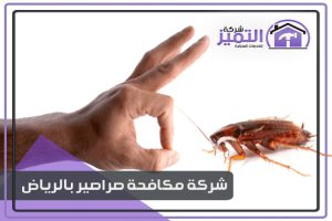 شركة مكافحة الصراصير بالرياض