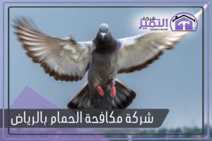 شركة مكافحة الحمام بالرياض