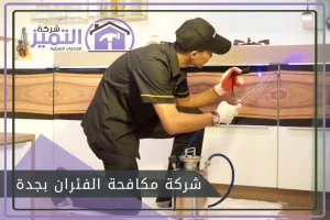 شركة مكافحة الفئران بجدة