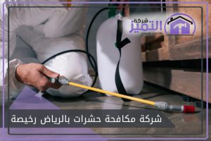 شركة مكافحة حشرات بالرياض رخيصة
