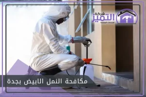 شركة مكافحة النمل الابيض بجدة